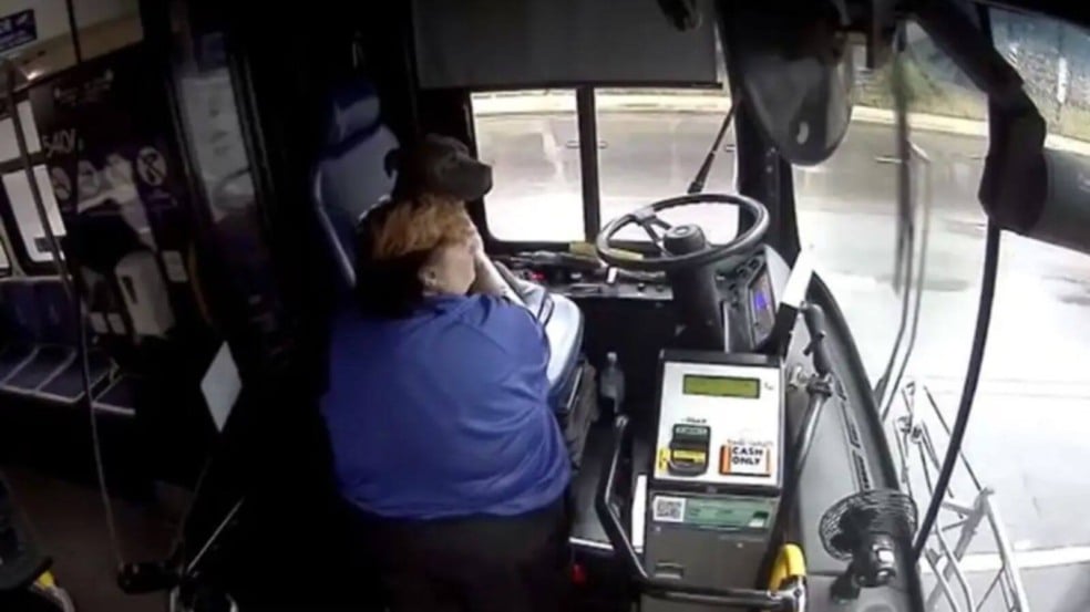 Motorista de ônibus resgata cachorro perdido na chuva