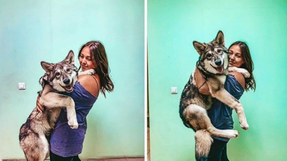 Mulher com lobo no colo