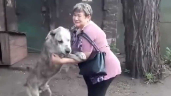 Mulher abraçando cachorro