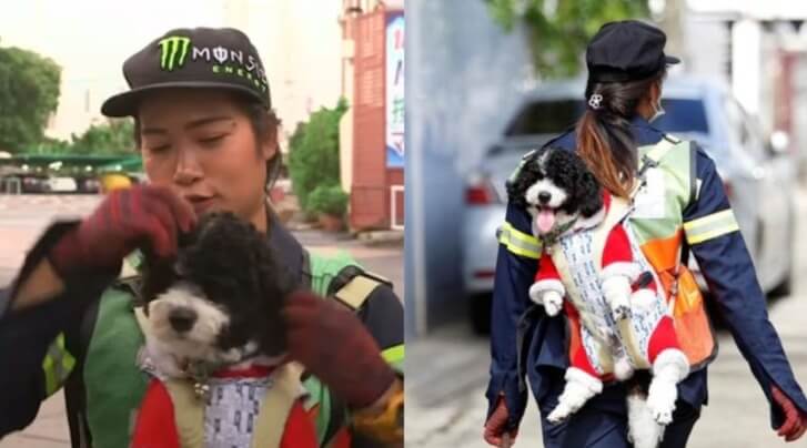 Mulher com cachorro nas costas