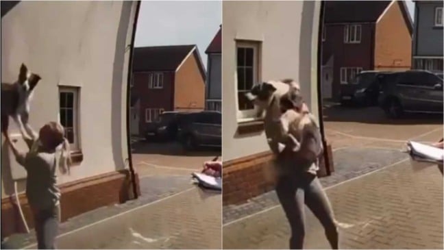 Mulher pega cachorro que caiu de prédio