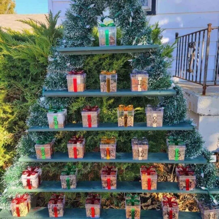 Árvore de Natal com comida de cachorro