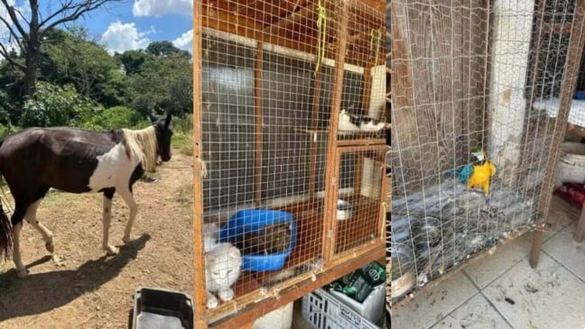 Foto: Divulgação/Polícia Civil