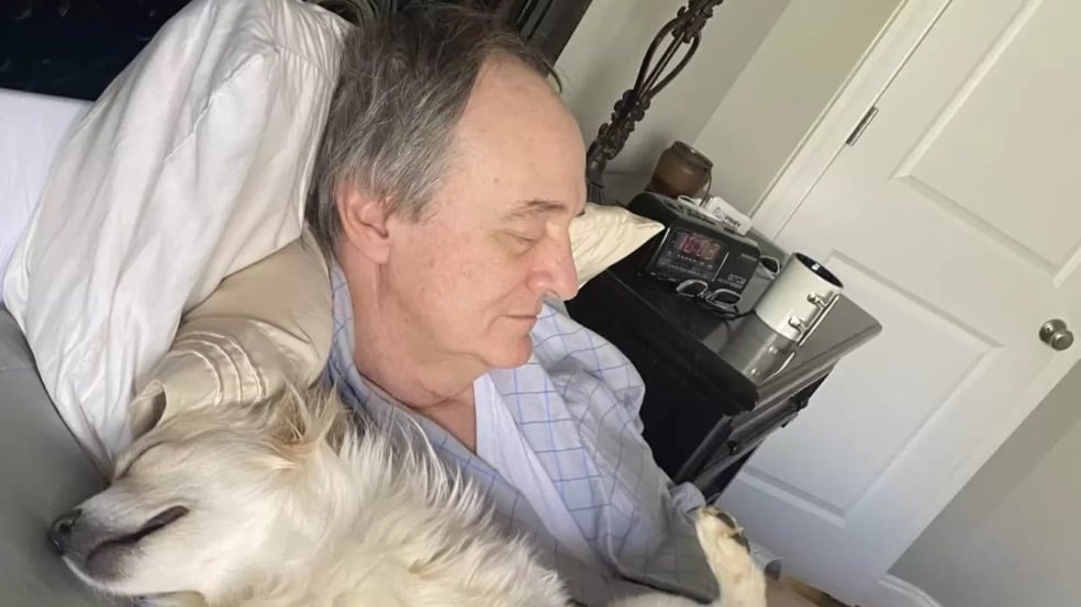 Mulher encontra pai tirando uma soneca com os cachorros dos vizinhos