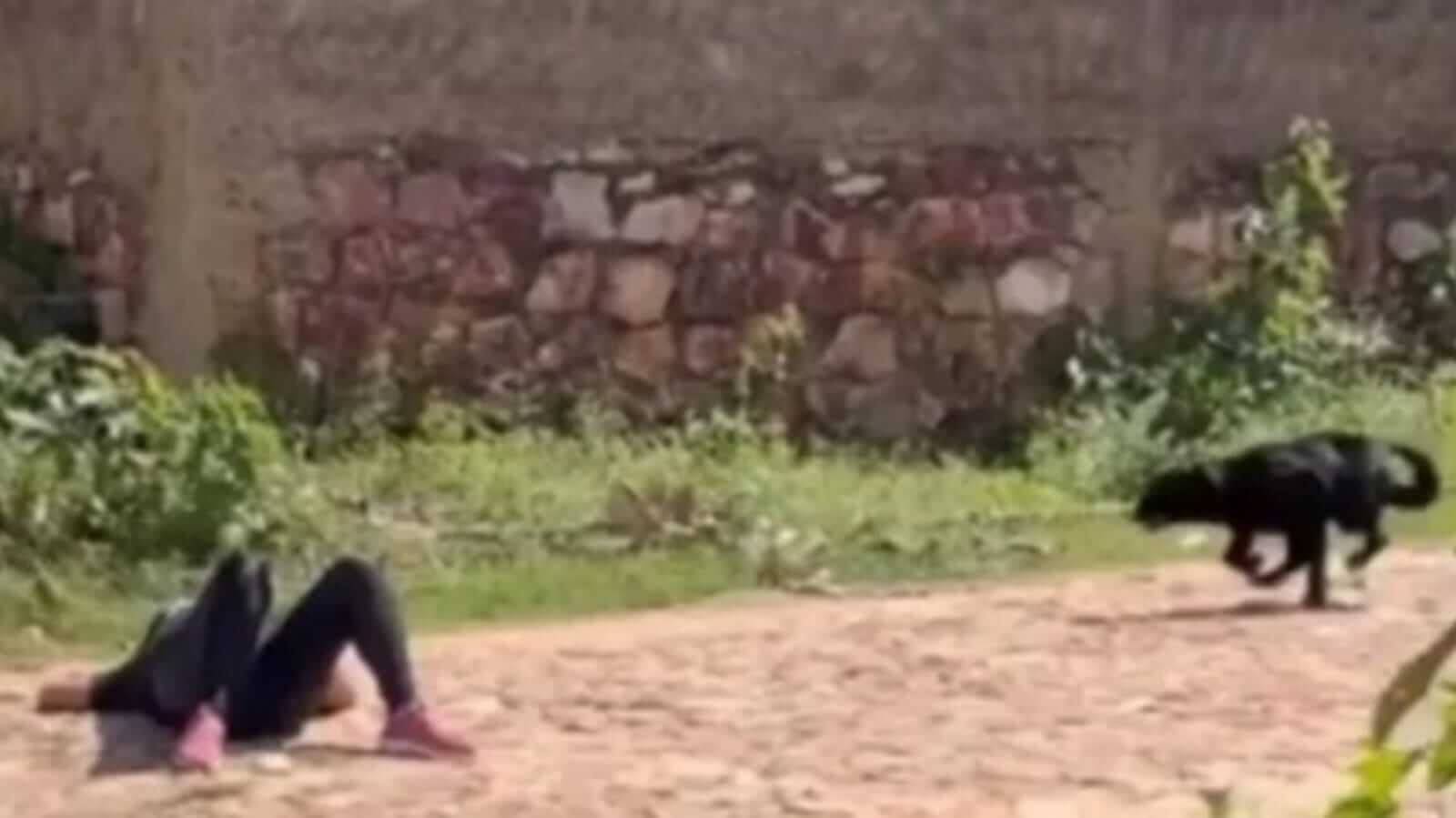 Mulher deitada no chão e cachorro correndo