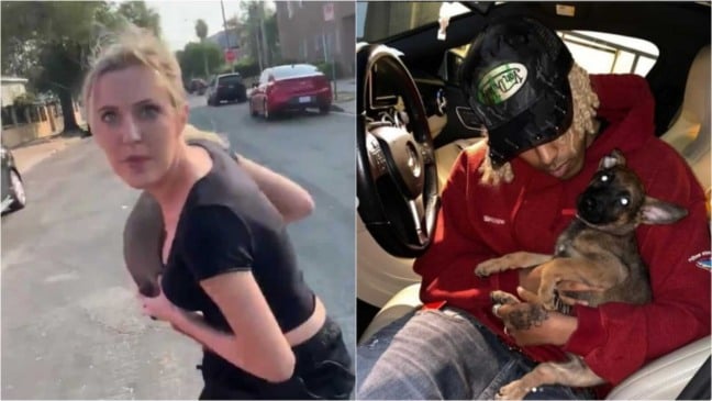 Cachorro em colo de homem em carro