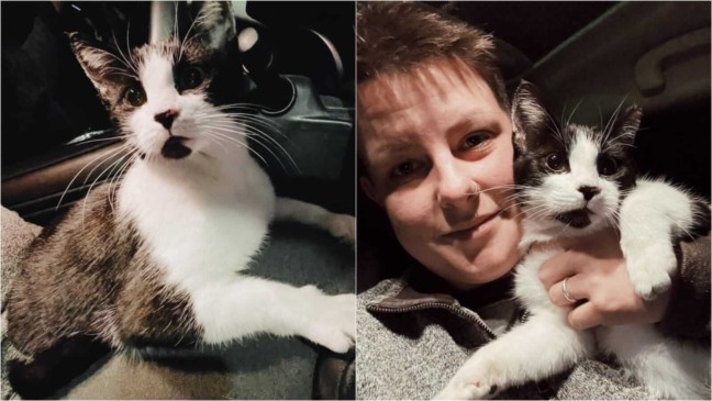 Mulher com gato no carro