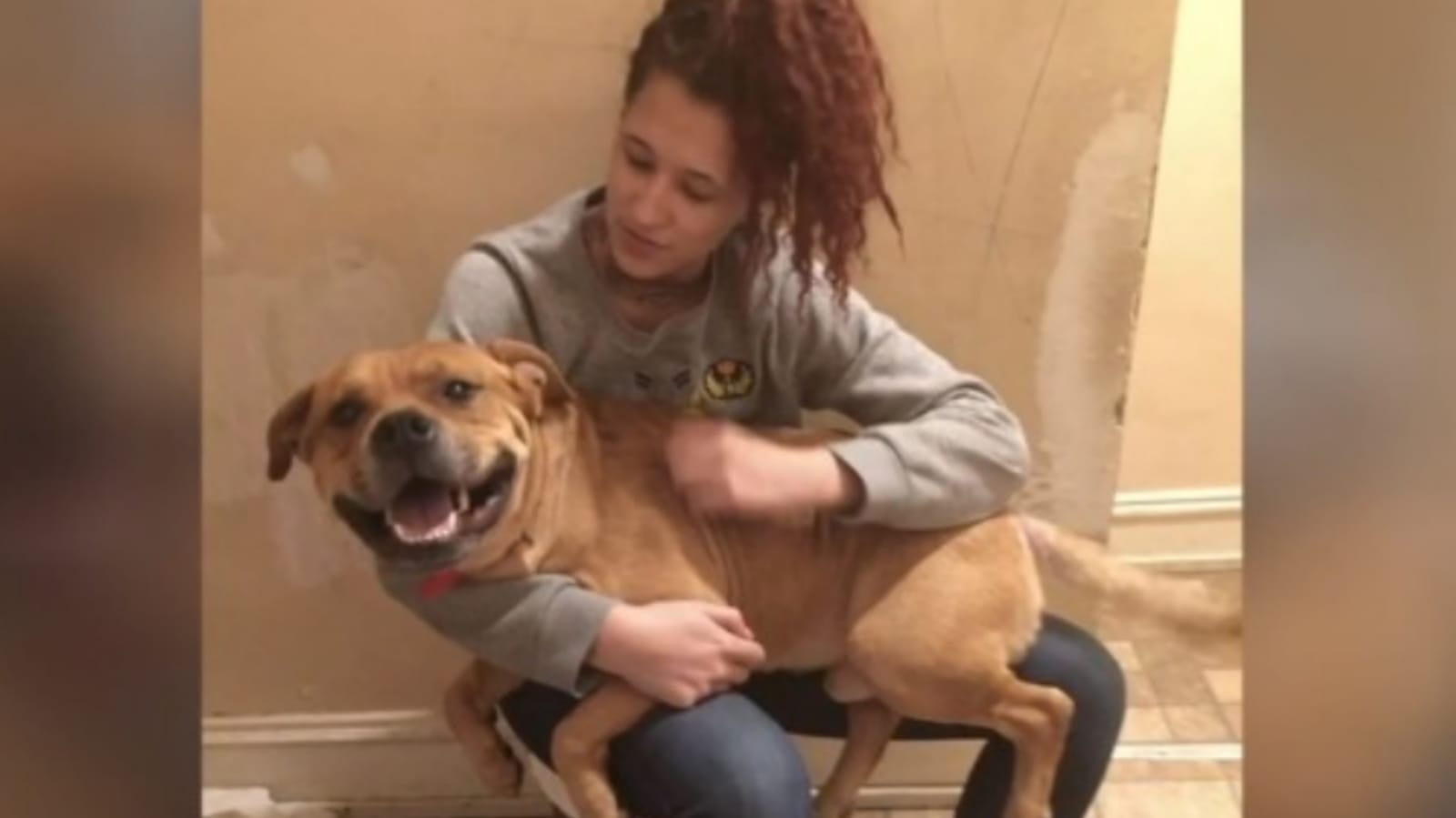 Mulher com cachorro no colo