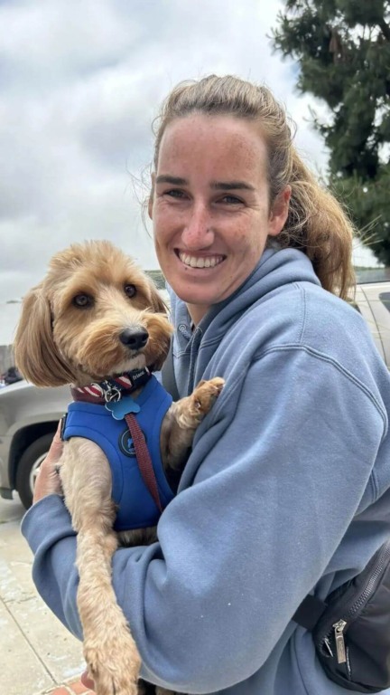 Cachorro abandonado é resgatado