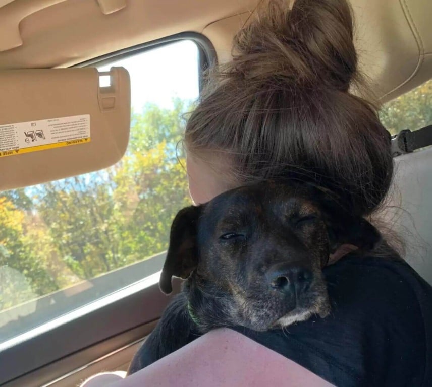 Cachorro deitado com mulher