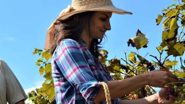 (Foto: Prefeitura de Jundiaí)