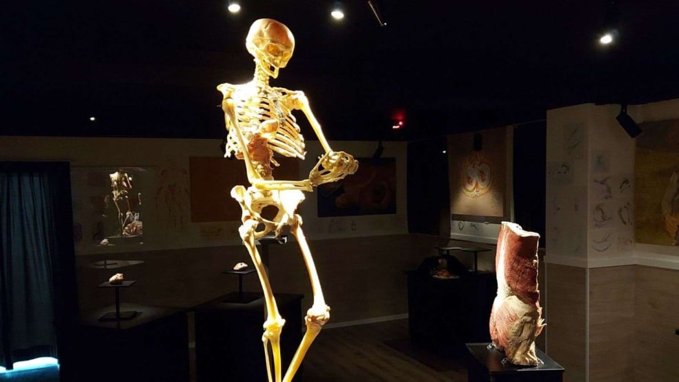 (Foto: Divulgação/FMJ)