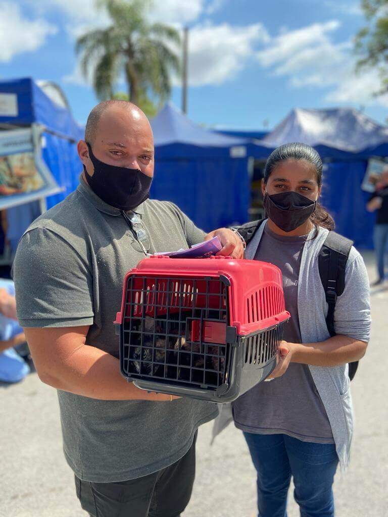 Mutirão de Castração de Campo Limpo Paulista