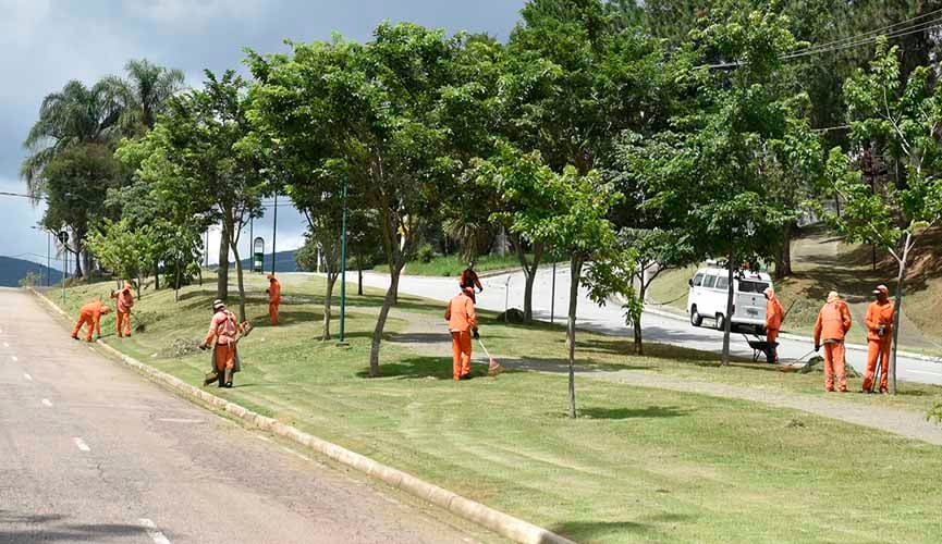funcionários fazem roçada em canteiro verde em avenida