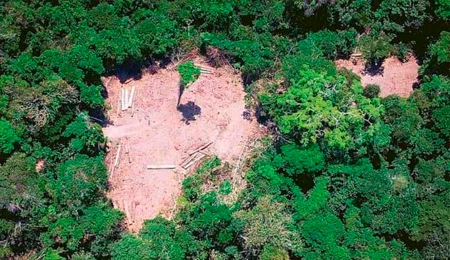 Noruega suspende repasse de R$ 133 milhões para o Fundo Amazônia