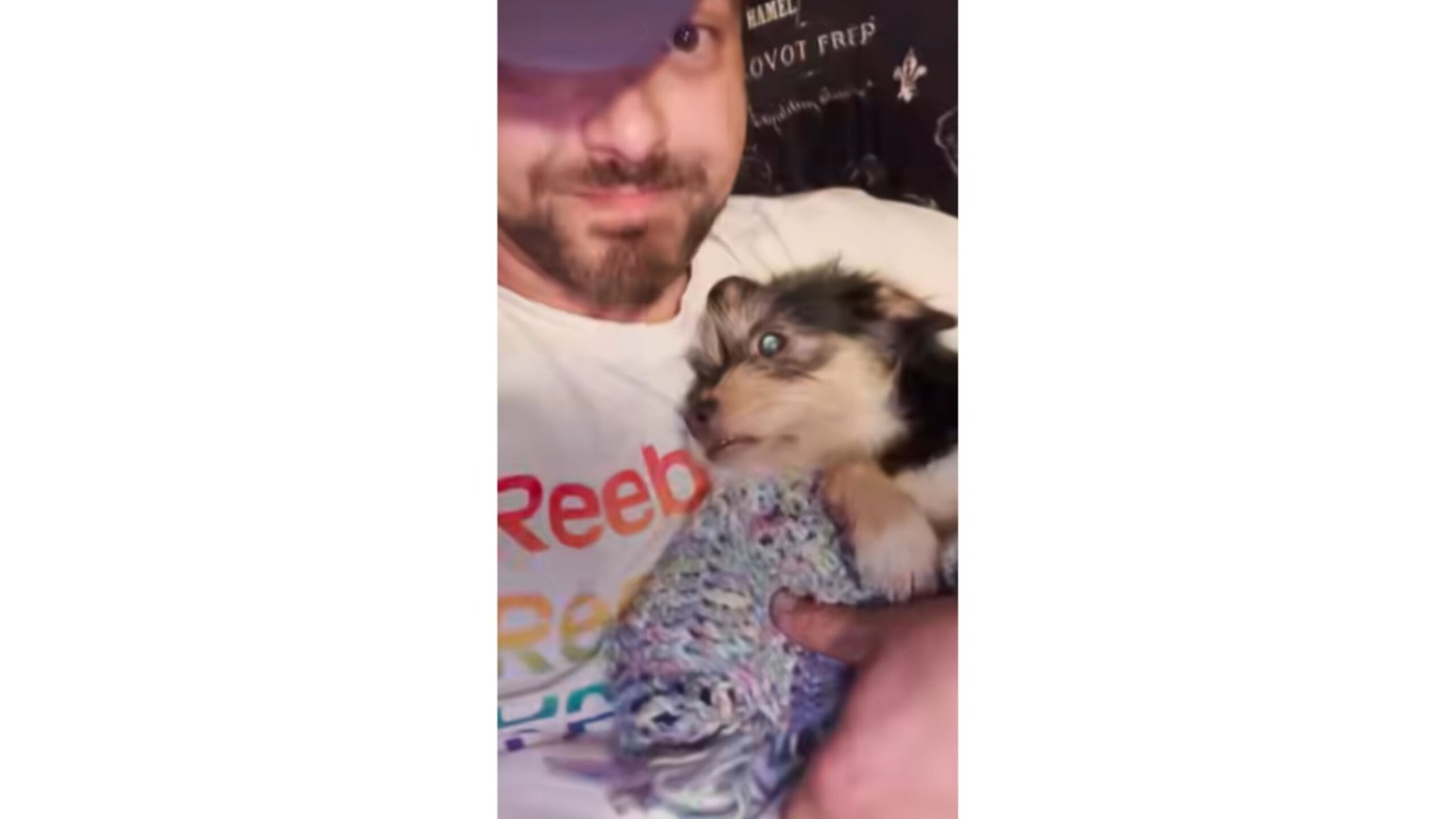 Homem deitado com cachorro