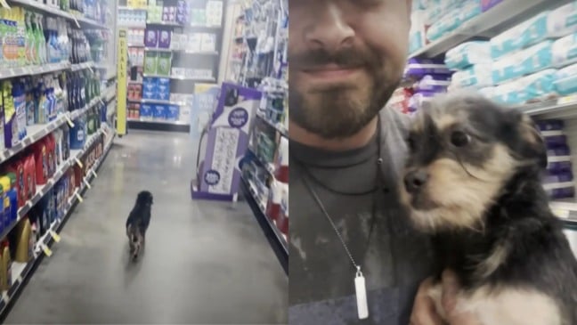 Cachorro com homem em mercado