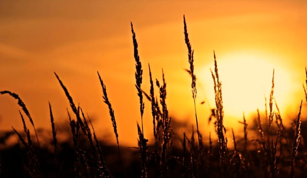 O mês anterior foi o outubro mais quente registrado no planeta