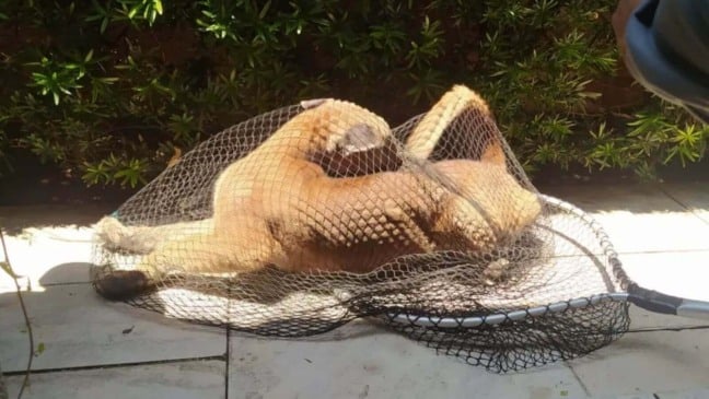 Foto: Kleber Oliveira Prudêncio/Jornal de Itu