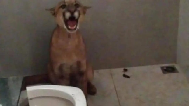 (Foto: Reprodução/Facebook)