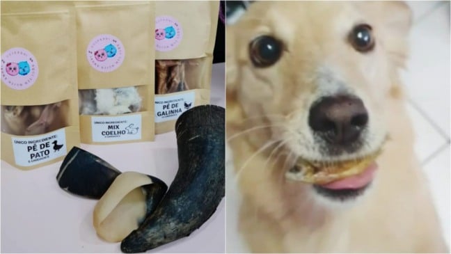 Mesa com petiscos dispostos e um cachorro com um peixinho na boca