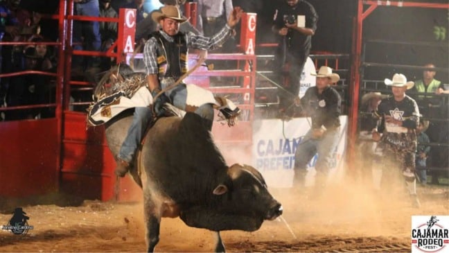 Foto de homem montado em touro.