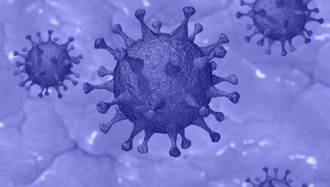 Desenho gráfico de uma estrutura viral