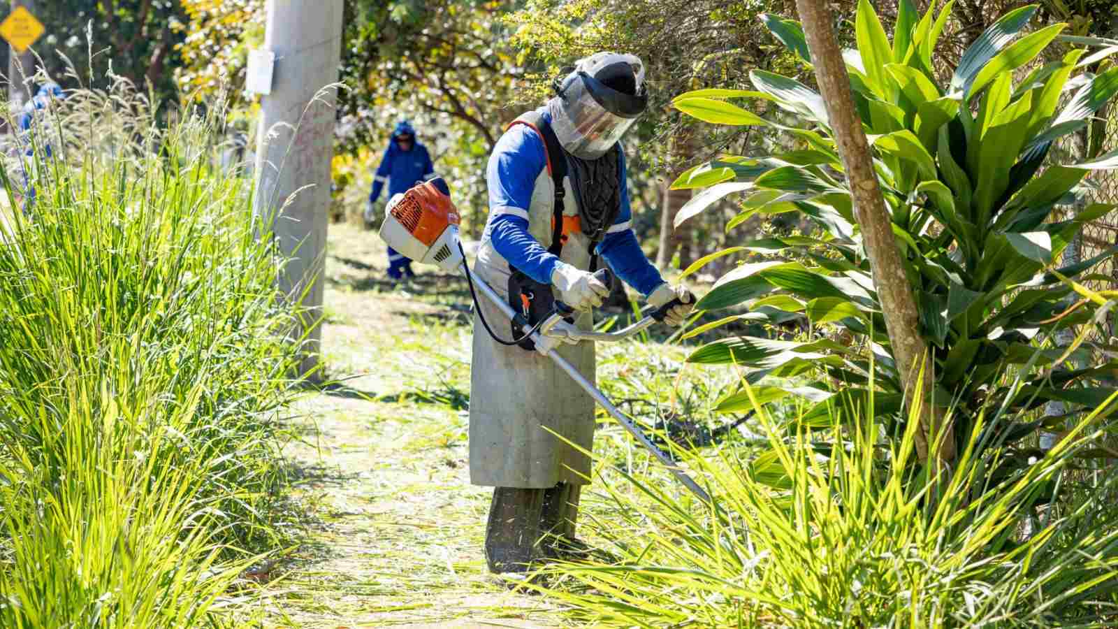 Ação do programa 'Quem Ama, Cuida' de Jundiaí.