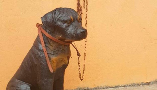 cachorro de plástico engana pm