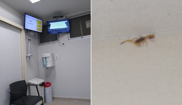 Paciente encontra dois escorpiões em hospital de Jundiaí