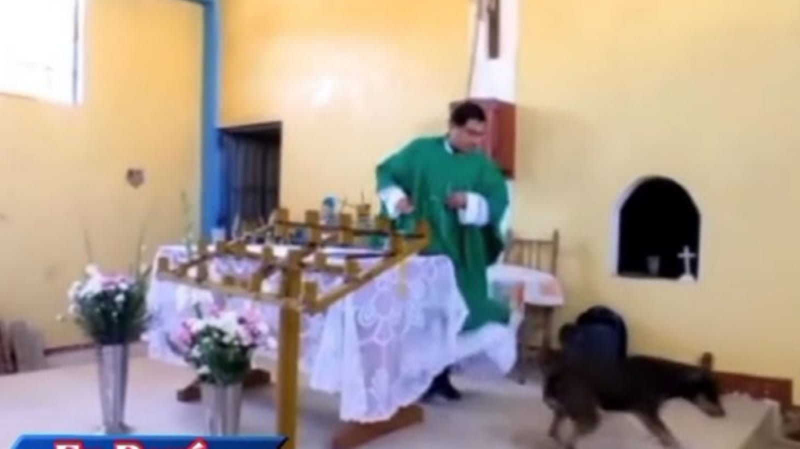 Padre chuta cachorro