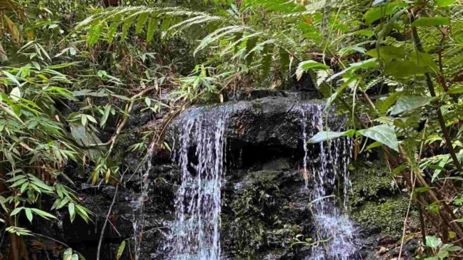 Evento do Projeto Olhos da Serra será aberto ao público e busca engajar sociedade nas ações preventivas (Foto: Divulgação/Projeto Olhos da Serra)