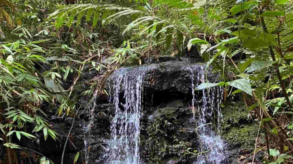 Evento do Projeto Olhos da Serra será aberto ao público e busca engajar sociedade nas ações preventivas (Foto: Divulgação/Projeto Olhos da Serra)