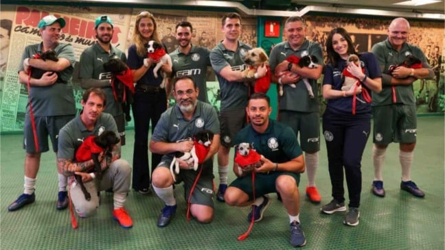 Jogadores do Palmeiras com cachorro no colo