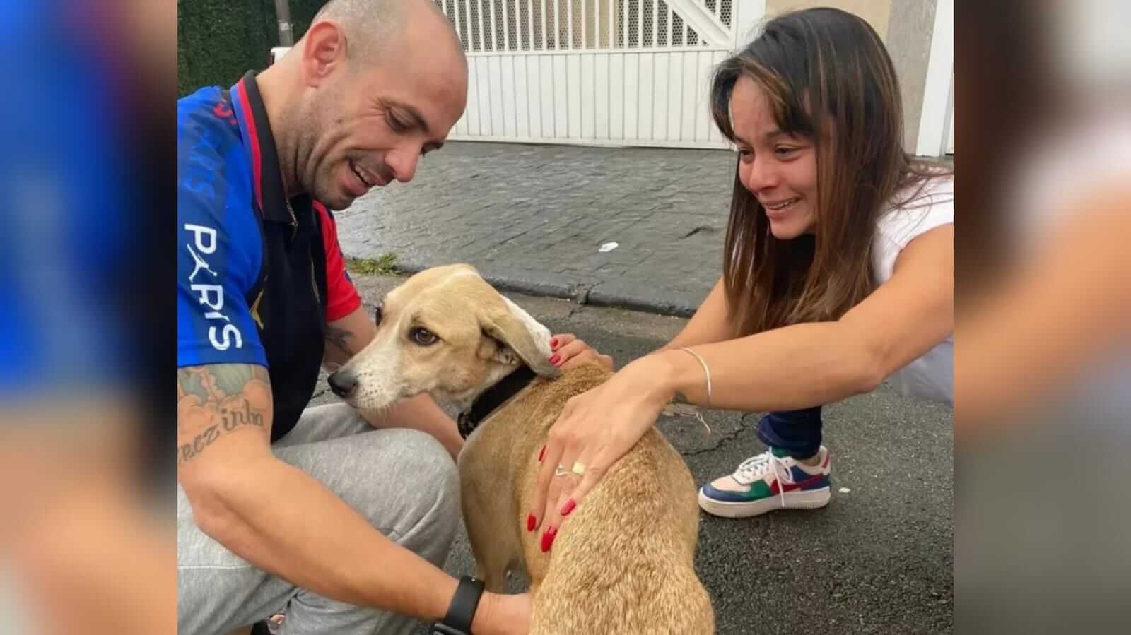 Homem, mulher e cachorro na rua