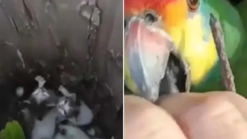 (Foto: Reprodução/Instagram @fofoquei)