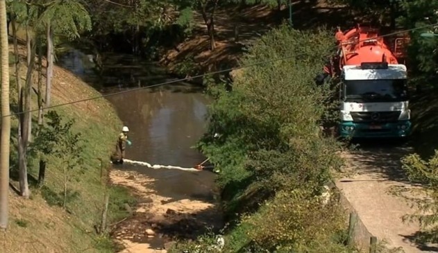 Parque Botânico Tulipas é reaberto ao público em Jundiaí