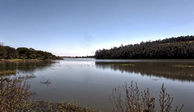 Foto de represa com vegetação e céu azul ao fundo