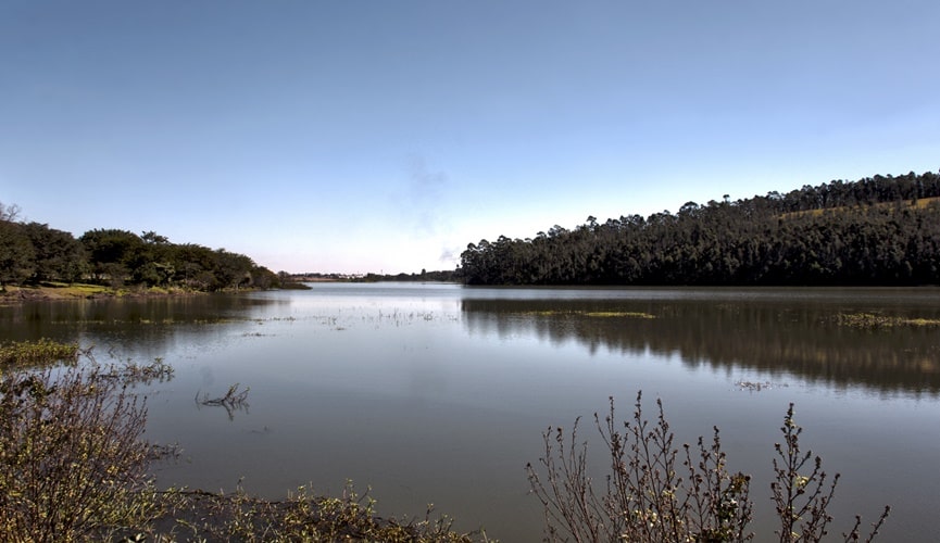Foto de represa com vegetação e céu azul ao fundo