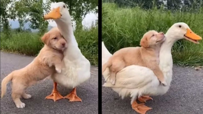 (Foto: Reprodução/Youtube)