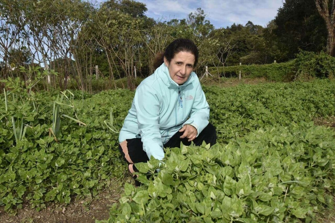 Mulher em meio á plantação