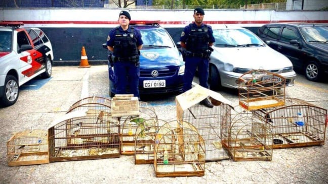 Foto: Prefeitura de Campo Limpo Paulista