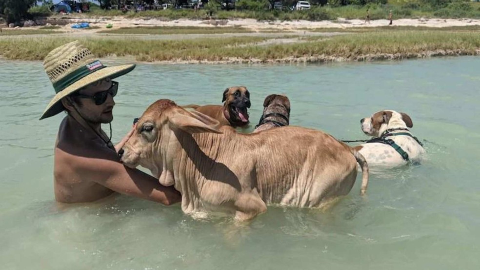 (Foto: ABC Kimberley: Hinako Shiraishi) (Foto: ABC Kimberley: Hinako Shiraishi)