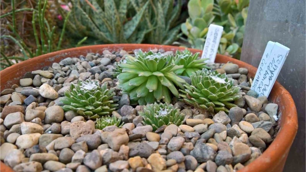 Foto: Ethan R./Canva Foto: Ethan R./Canva