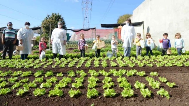 Crianças de EMEB de Jundiaí visitam horta