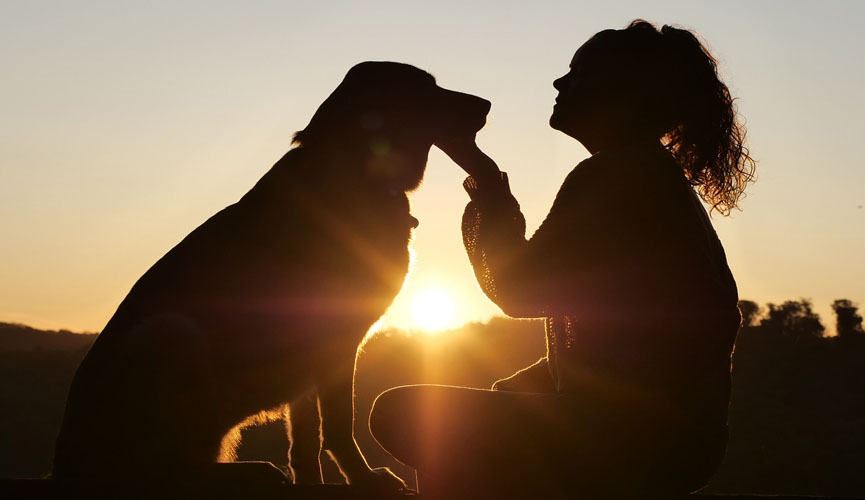 Pesquisa diz que ter um cachorro pode diminuir em 24% o risco de morte