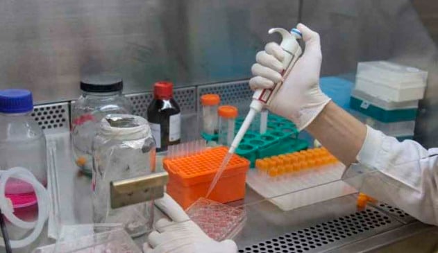 Pesquisadores conseguem combater sintomas do Alzheimer com canabinoide