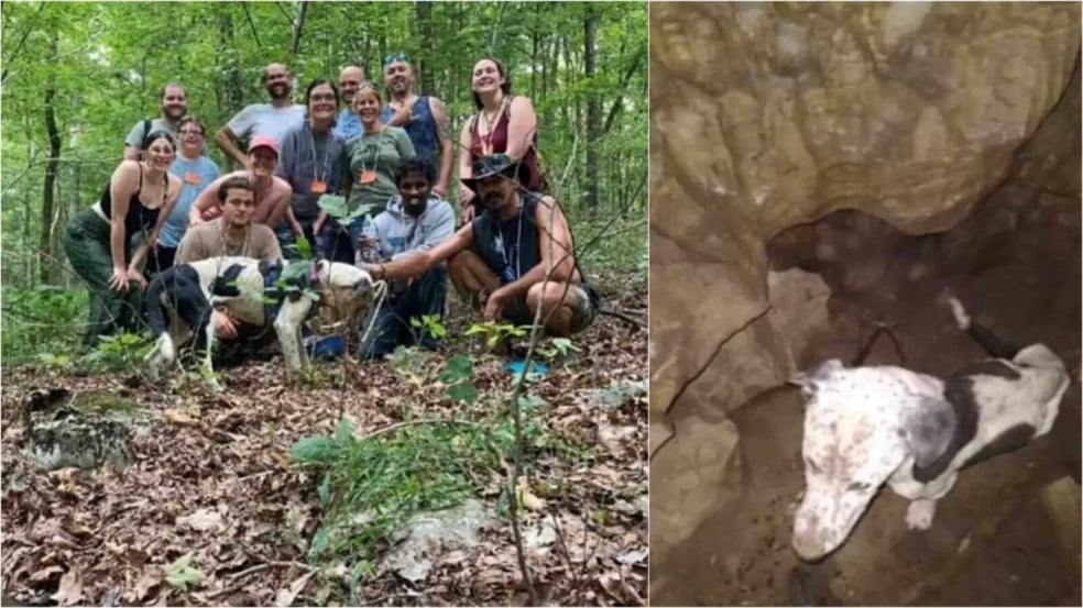 Grupo de exploradores com cachorro encontrado em caverna