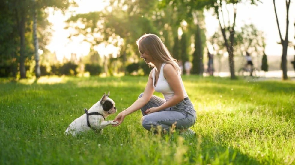 Mulher com cachorro em parque