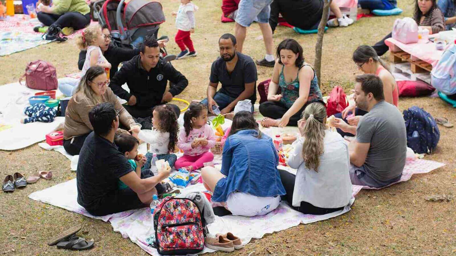 Famílias em pic nic